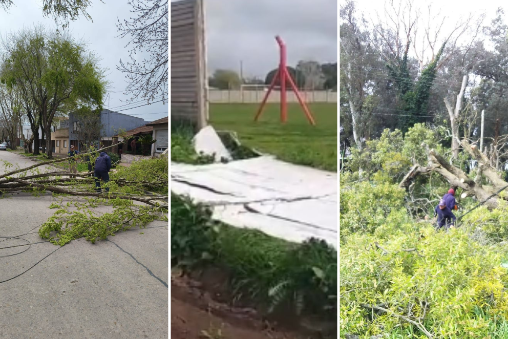 Temporal en Madariaga: fuertes ráfagas derribaron árboles, postes y un paredón